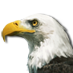 File:Independence eagle.png