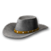 YellowStetson.png