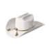 File:Lee's hat.png