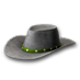 File:GreenStetson.png