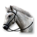 Cartwrights-horse.png