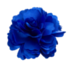 File:Blue flower.png