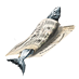 File:A fish wrapped in newspaper..png