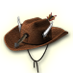 CollectorHat.png