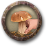 File:Picking Mushrooms.png
