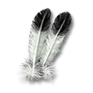 Wear Matoaka's feathers.png