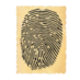 File:Fingerprint.png