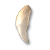File:Sam tooth.png