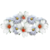 File:White wreath.png