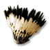 BrownFeatherHat.png