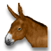 Onager.png