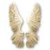 Cupid's-wings.png