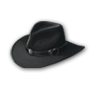 Wear Duelist Hat.png