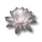 Lotus blossom