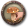 Picking Mushrooms